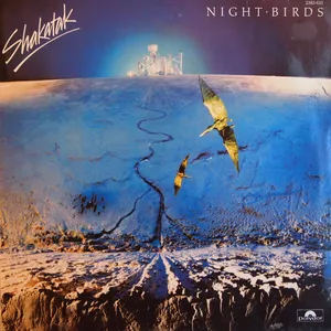 Night birds